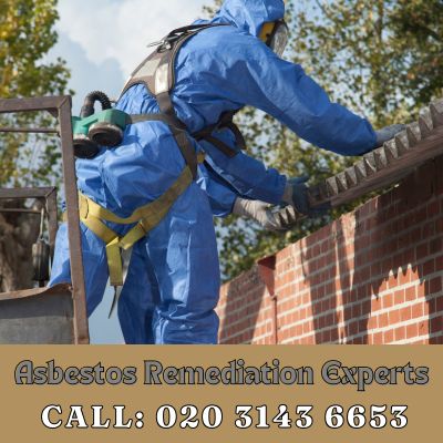 Asbestos Remediation Experts Stone