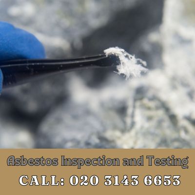 Comprehensive Asbestos Inspection and Testing Services in Stone